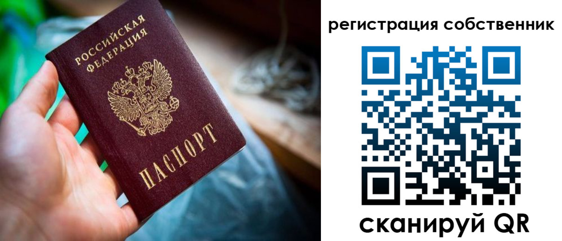 прописка гарантия в Ульяновской области